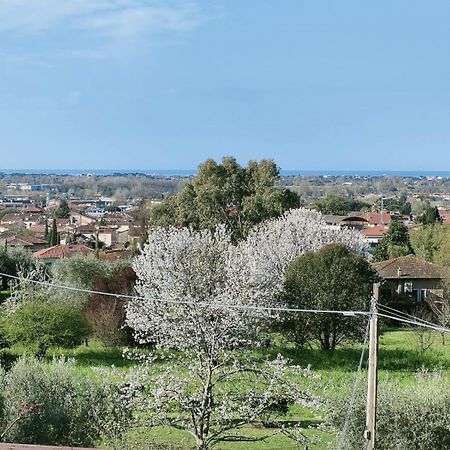 Casa Bianca Villa Pietrasanta Kültér fotó